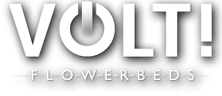 Volt